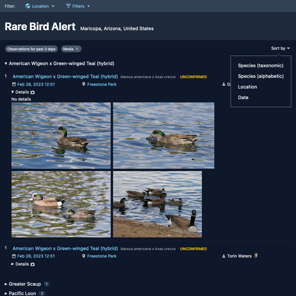 Screenshot of Rare Bird Alert!
